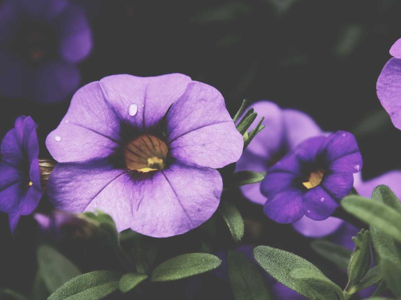 sudoku solution check screenshot 3